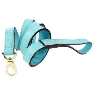 Belmont Dog Leash in Turquoise & Gold