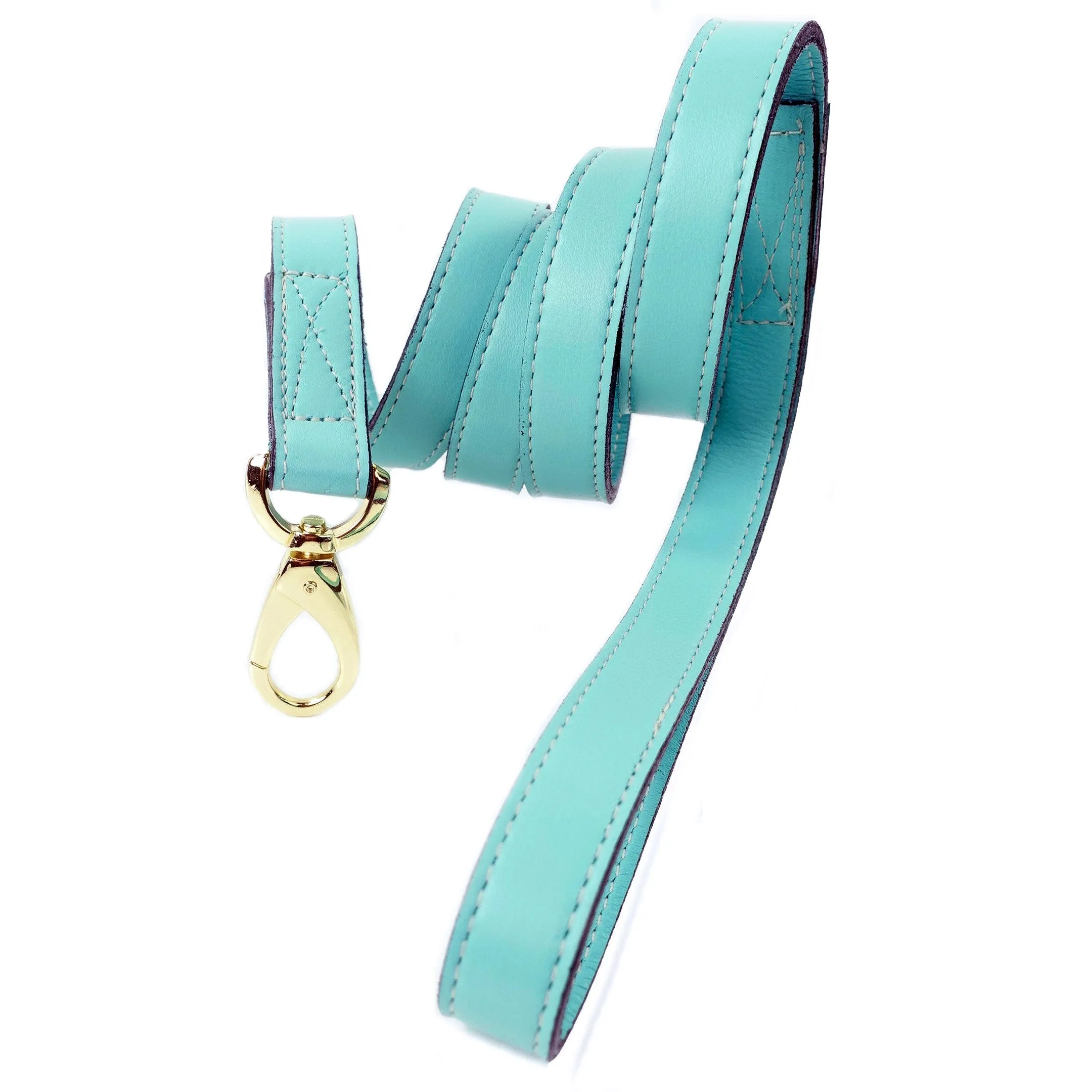 Belmont Dog Leash in Turquoise & Gold