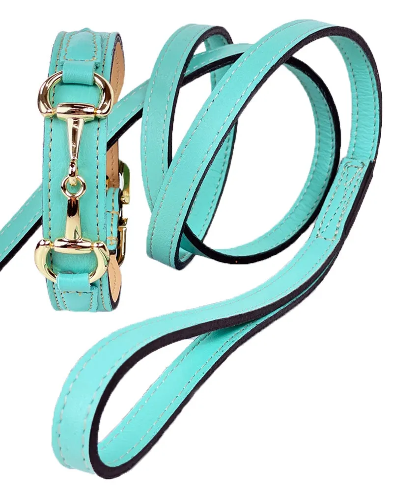 Belmont Dog Leash in Turquoise & Gold