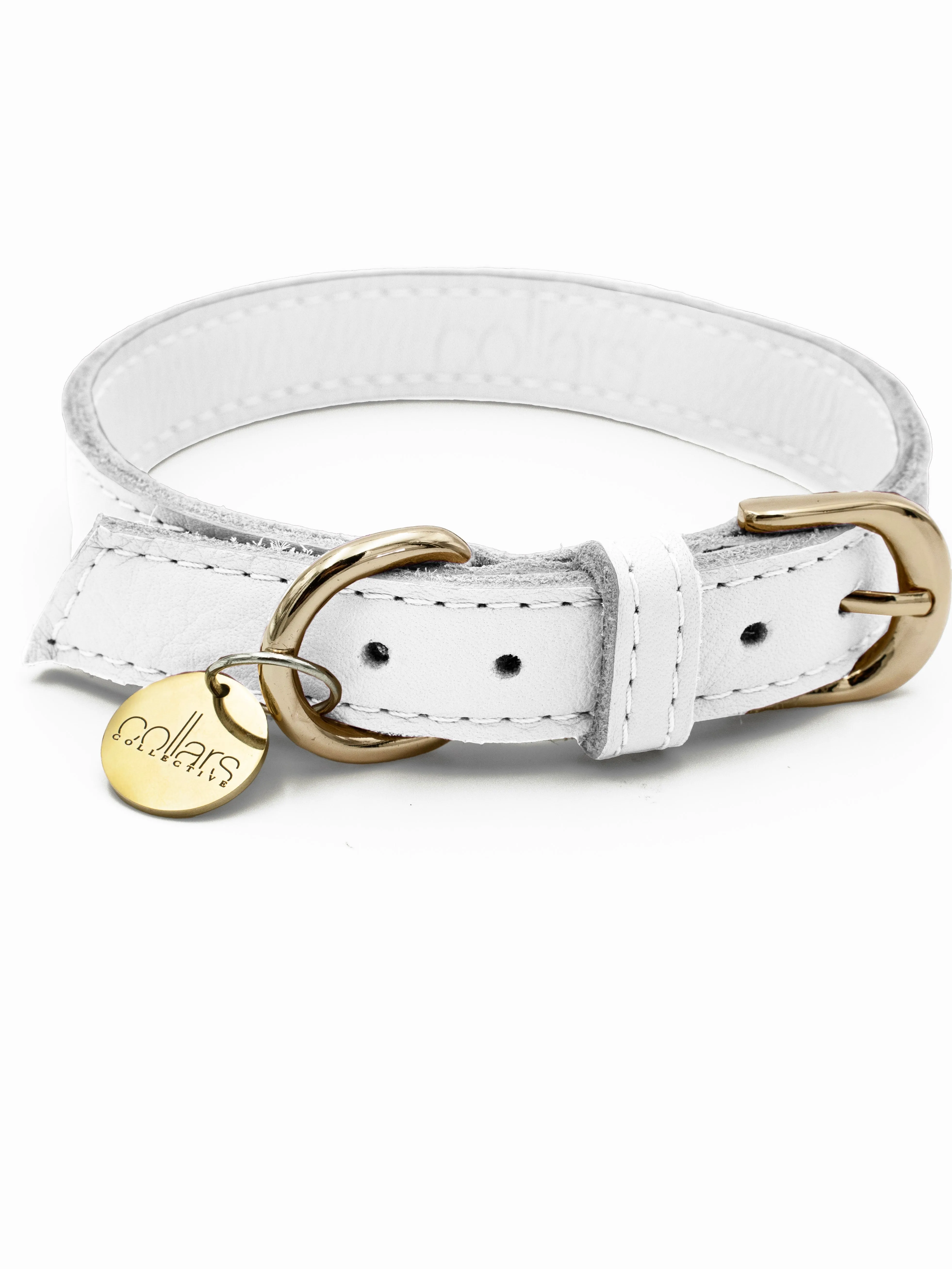 BF The Salt Tag Collar