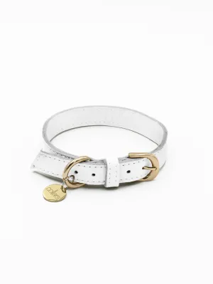 BF The Salt Tag Collar