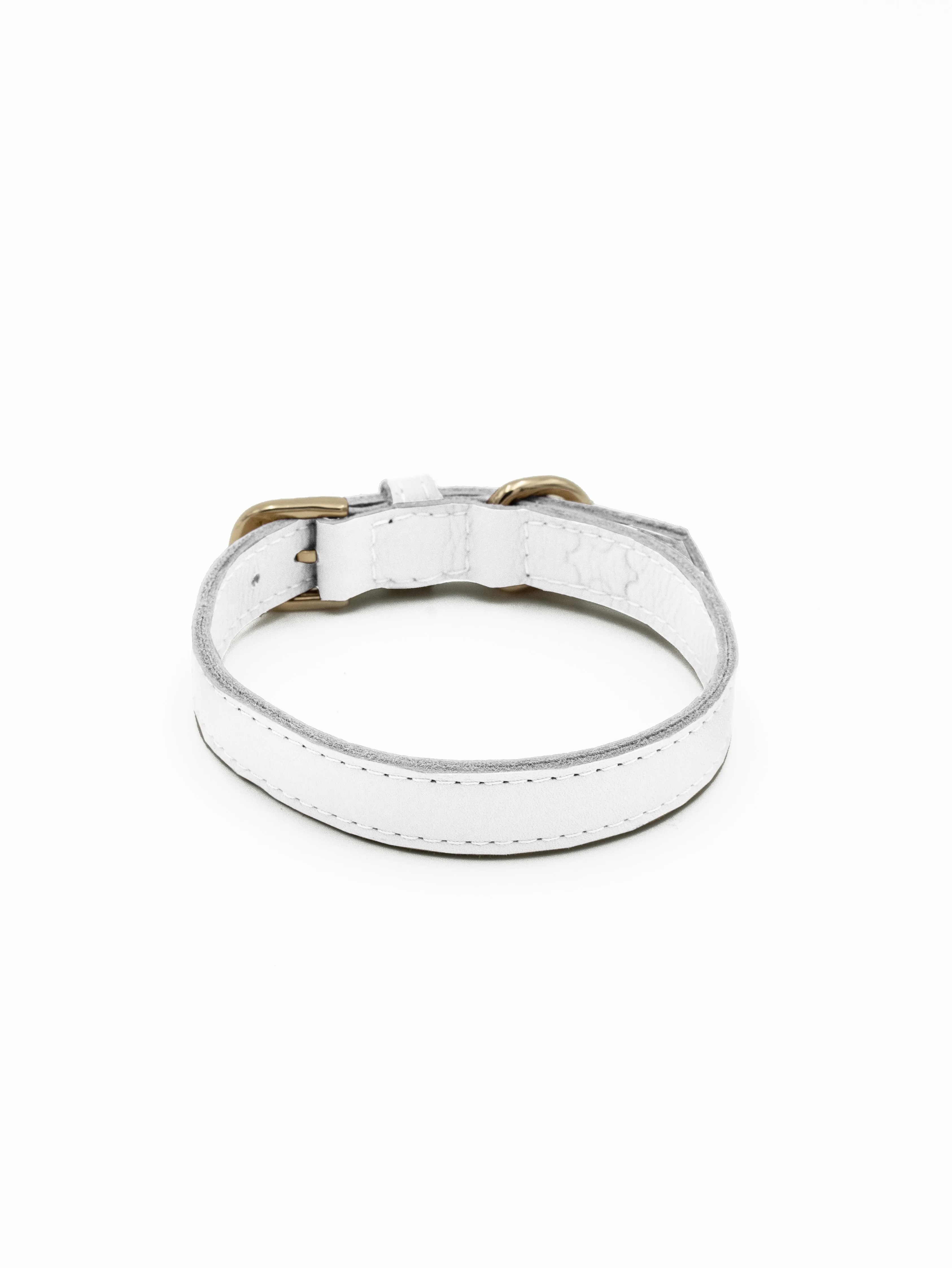 BF The Salt Tag Collar
