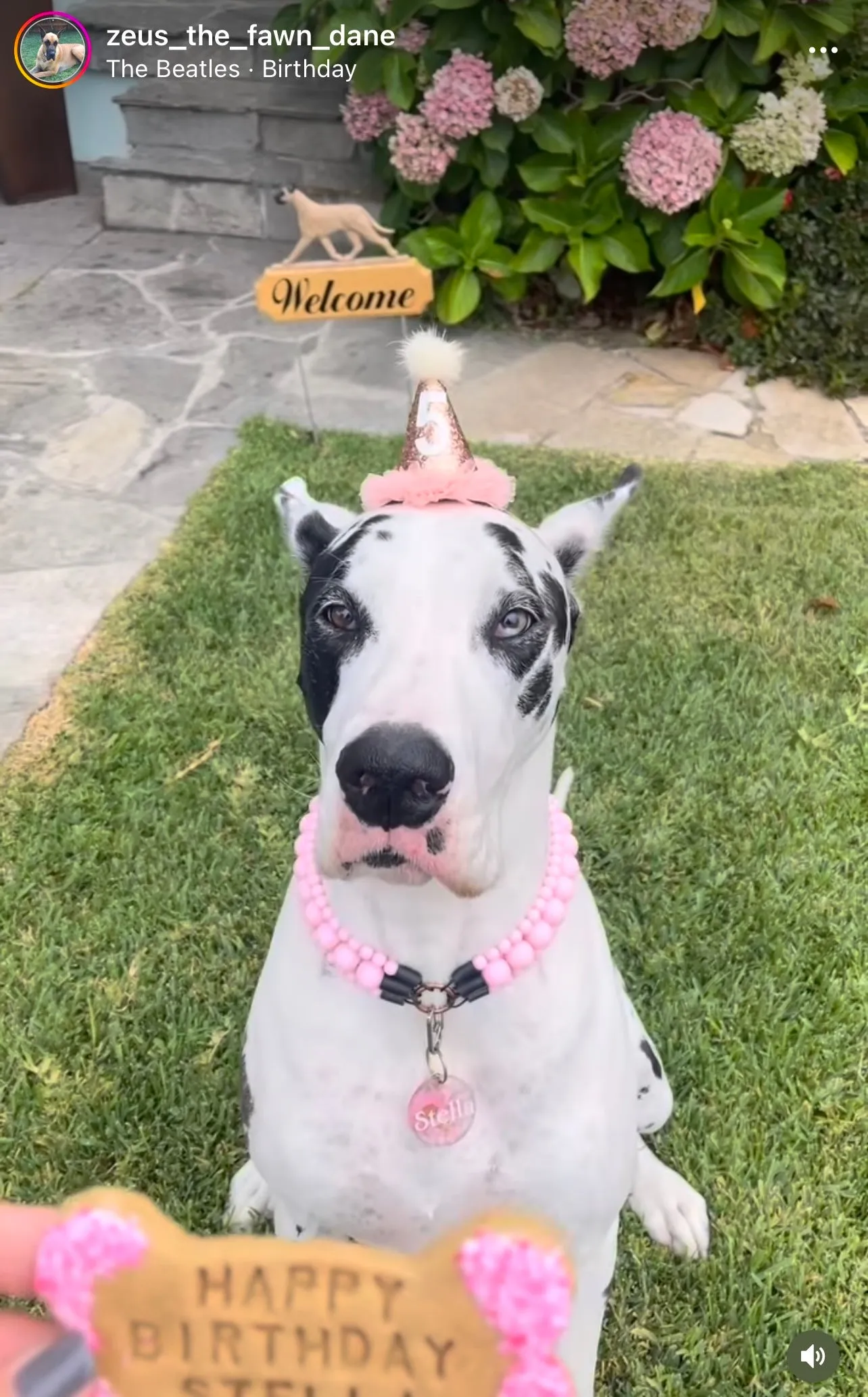 Blush Pink Rain Triplo Acrylic Bead Collar