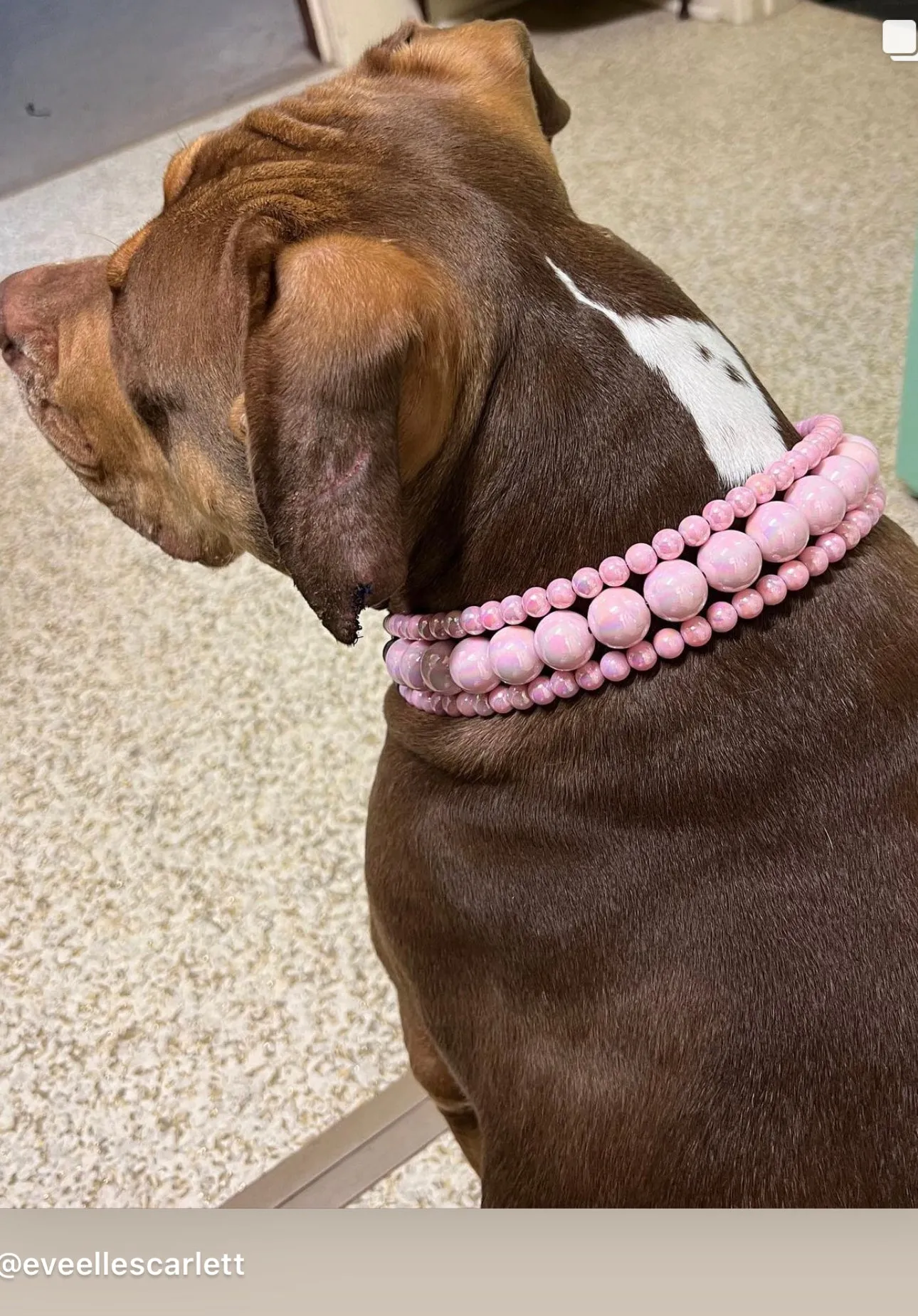 Blush Pink Rain Triplo Acrylic Bead Collar