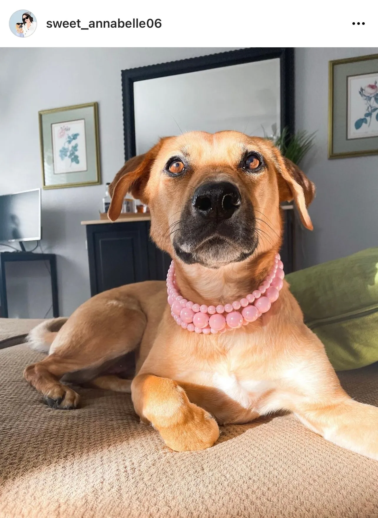 Blush Pink Rain Triplo Acrylic Bead Collar