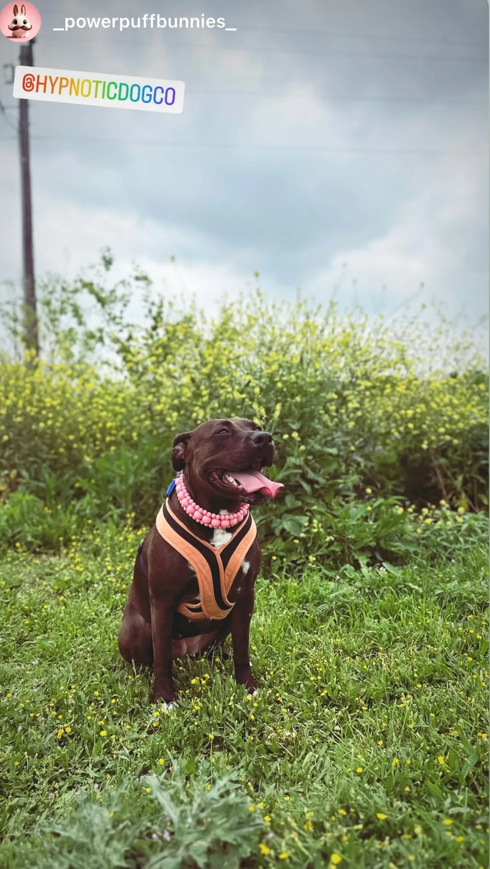 Blush Pink Rain Triplo Acrylic Bead Collar