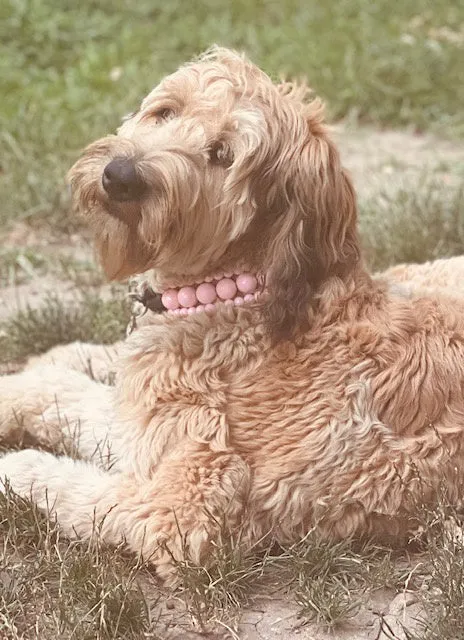 Blush Pink Rain Triplo Acrylic Bead Collar