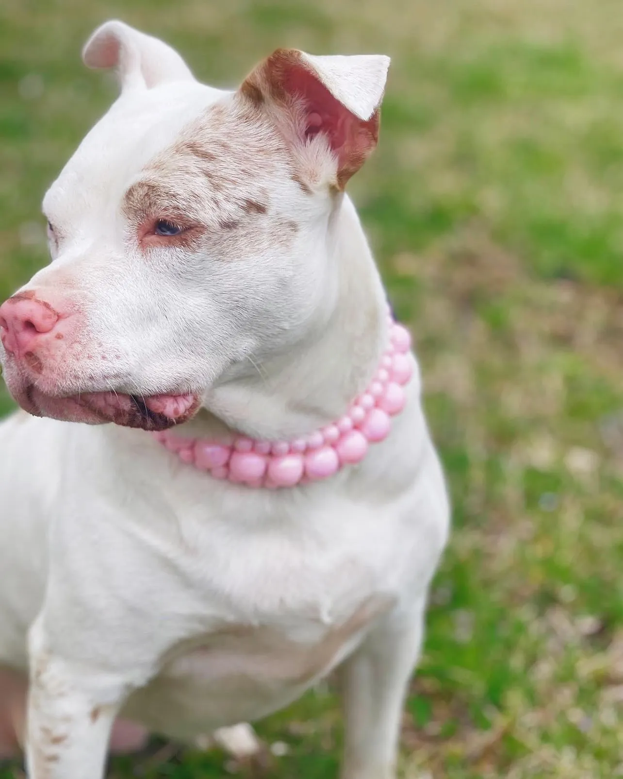 Blush Pink Rain Triplo Acrylic Bead Collar