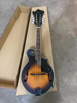 BOSALY mandolin instrument, 8-string original mandolin, with tuner, strings, bag, pickup