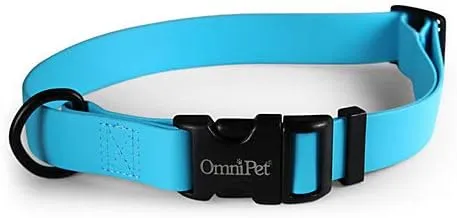 Carnival Collars