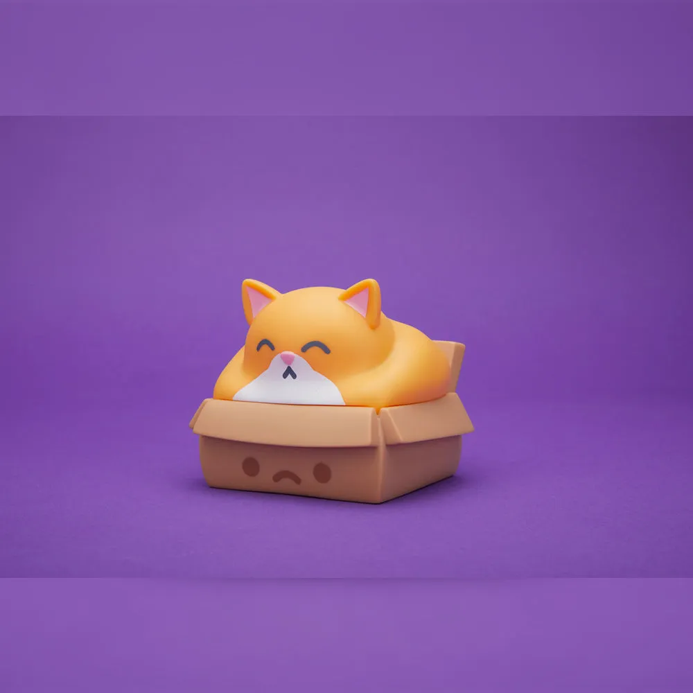 Chonky Trash Kitty Night Light by 100% Soft