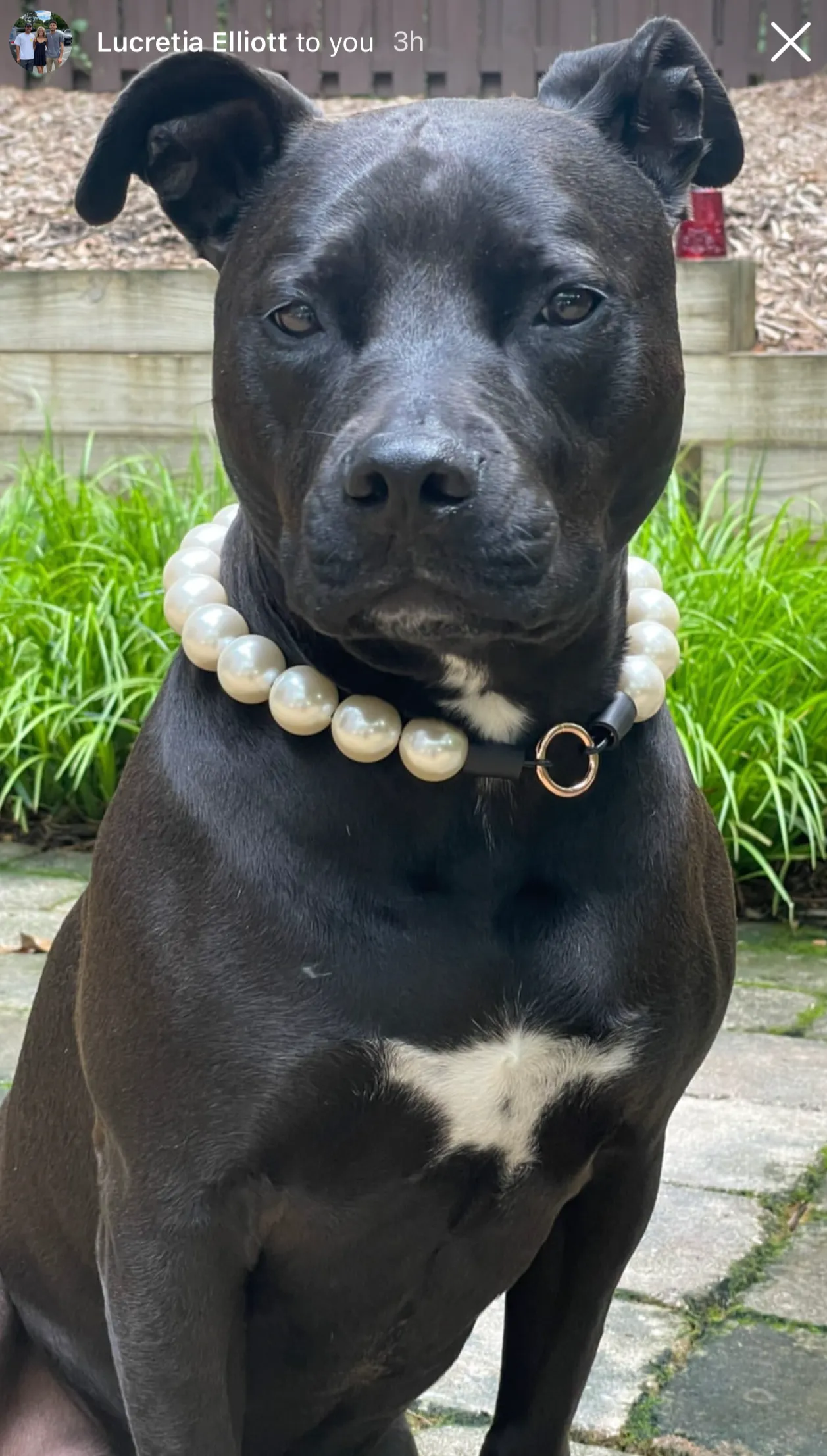 Chunky White Pearls Acrylic Bead Collar
