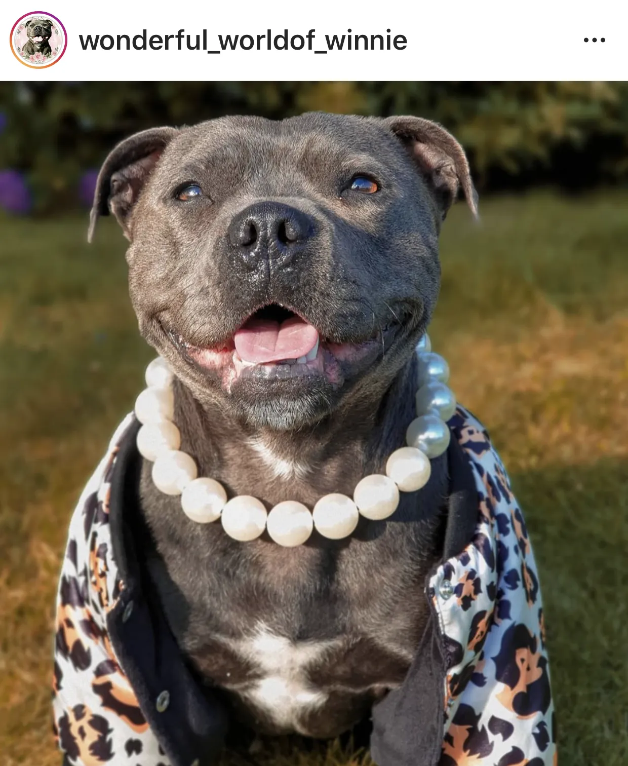 Chunky White Pearls Acrylic Bead Collar