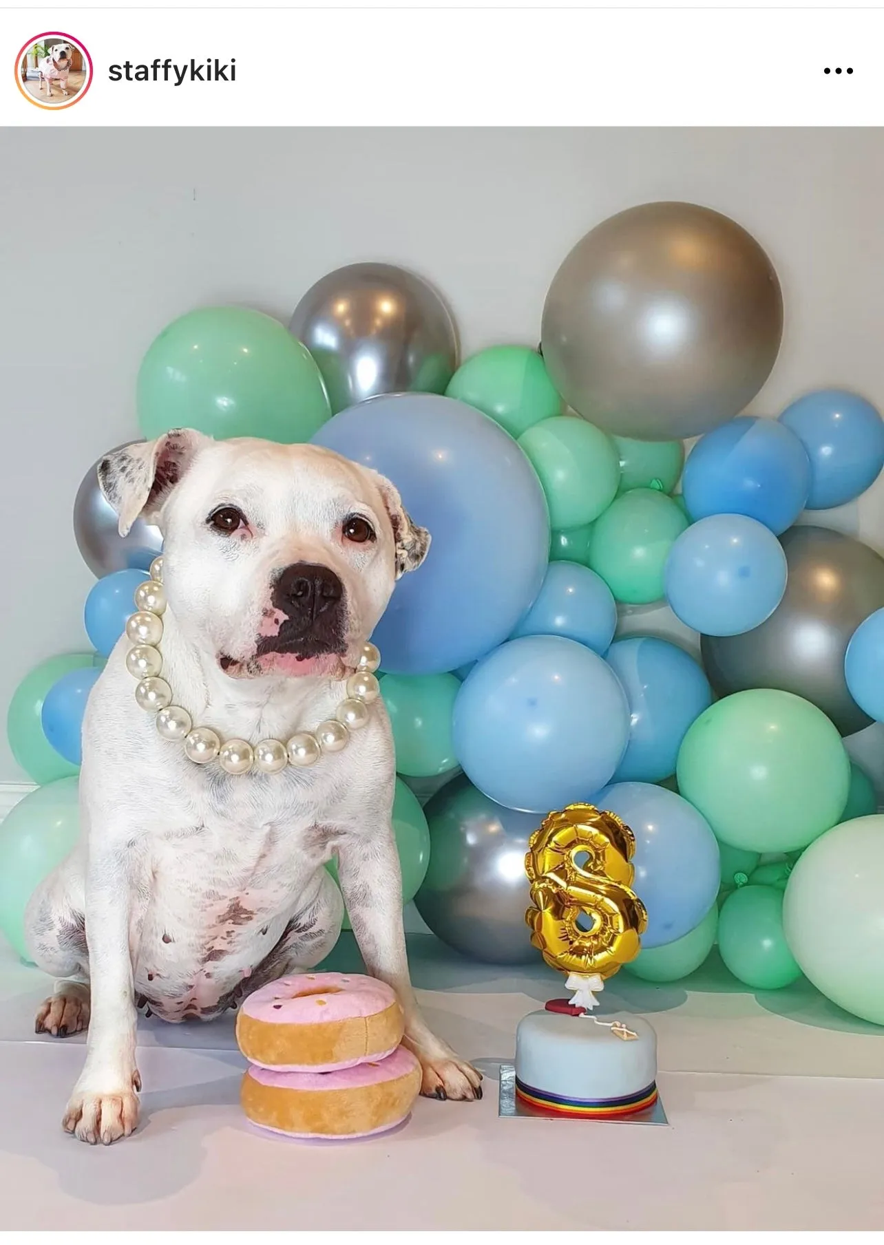 Chunky White Pearls Acrylic Bead Collar
