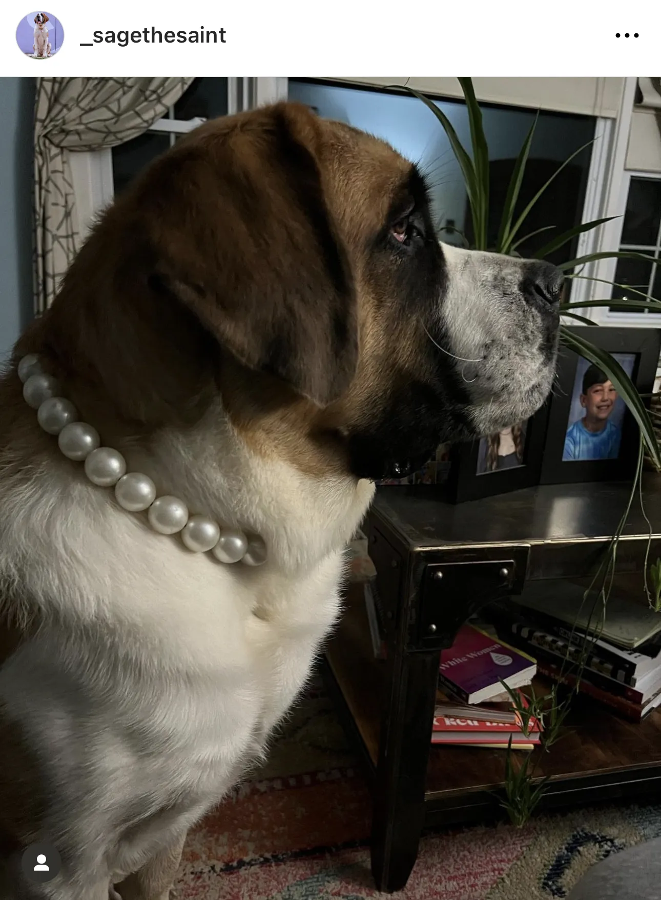 Chunky White Pearls Acrylic Bead Collar