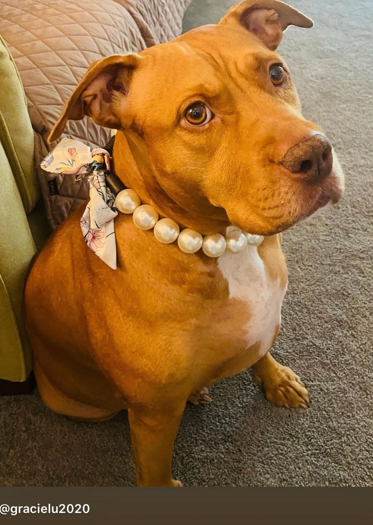 Chunky White Pearls Acrylic Bead Collar