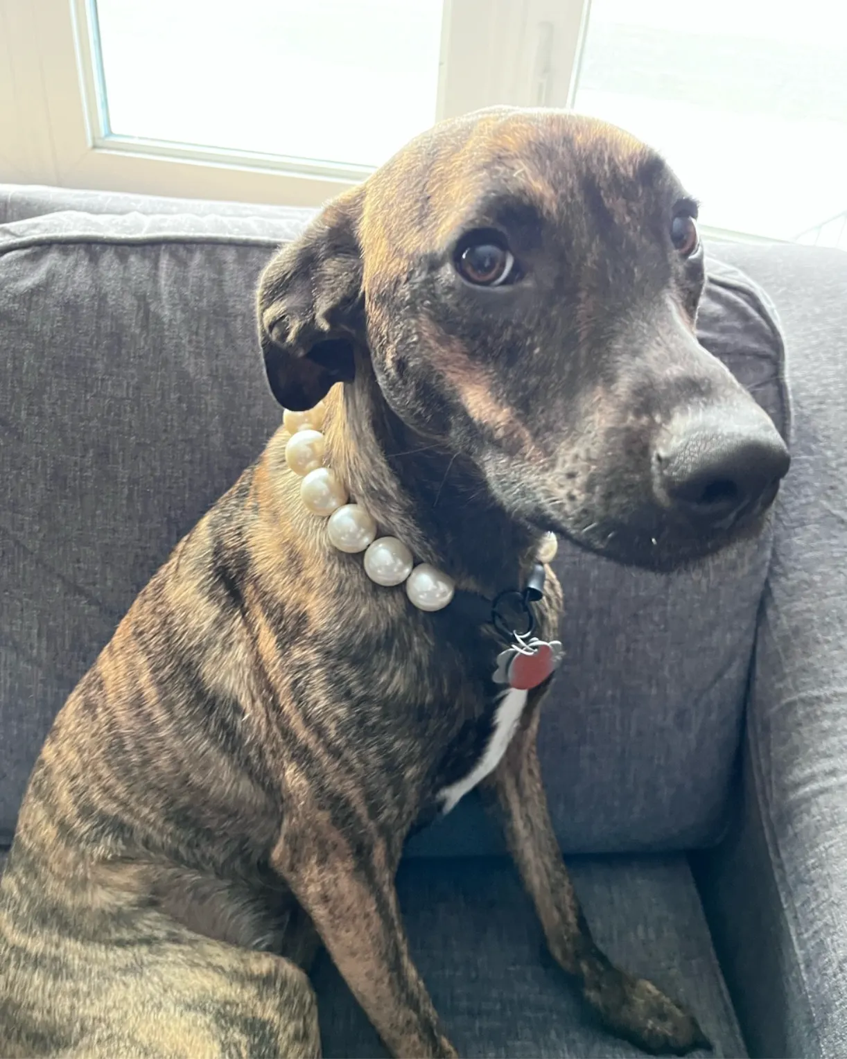 Chunky White Pearls Acrylic Bead Collar