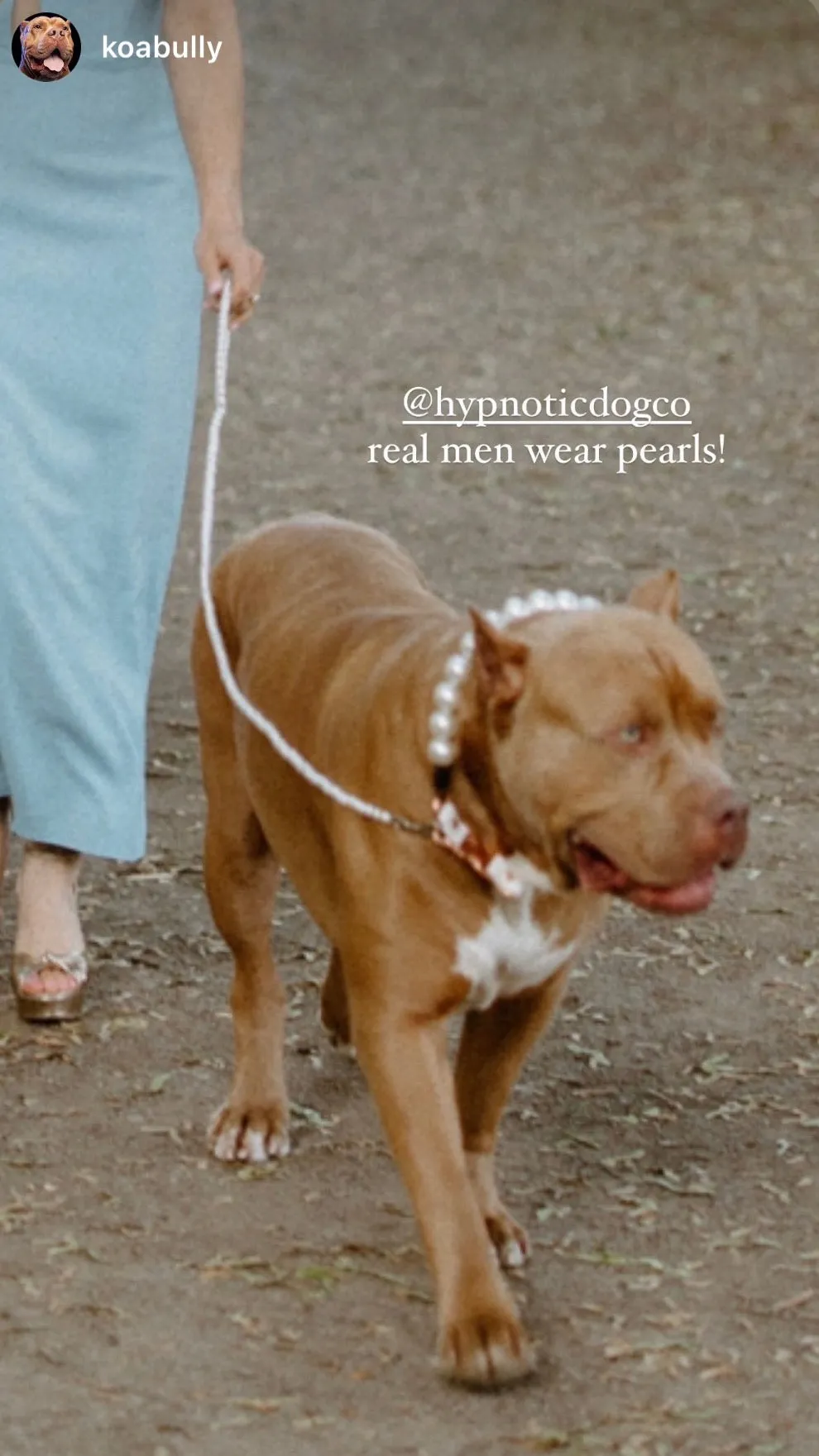 Chunky White Pearls Acrylic Bead Collar