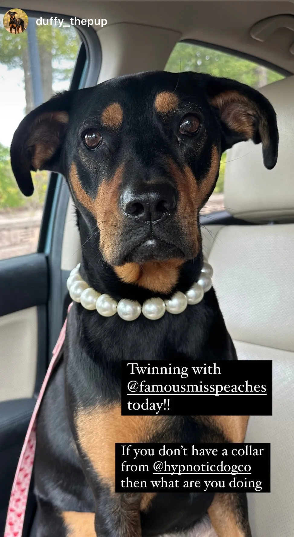 Chunky White Pearls Acrylic Bead Collar