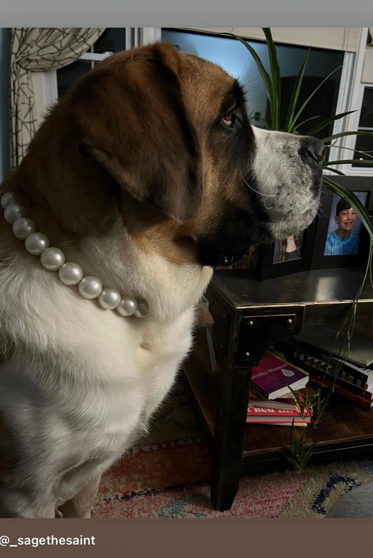 Chunky White Pearls Acrylic Bead Collar
