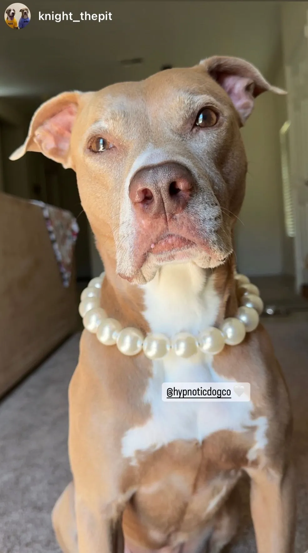 Chunky White Pearls Acrylic Bead Collar