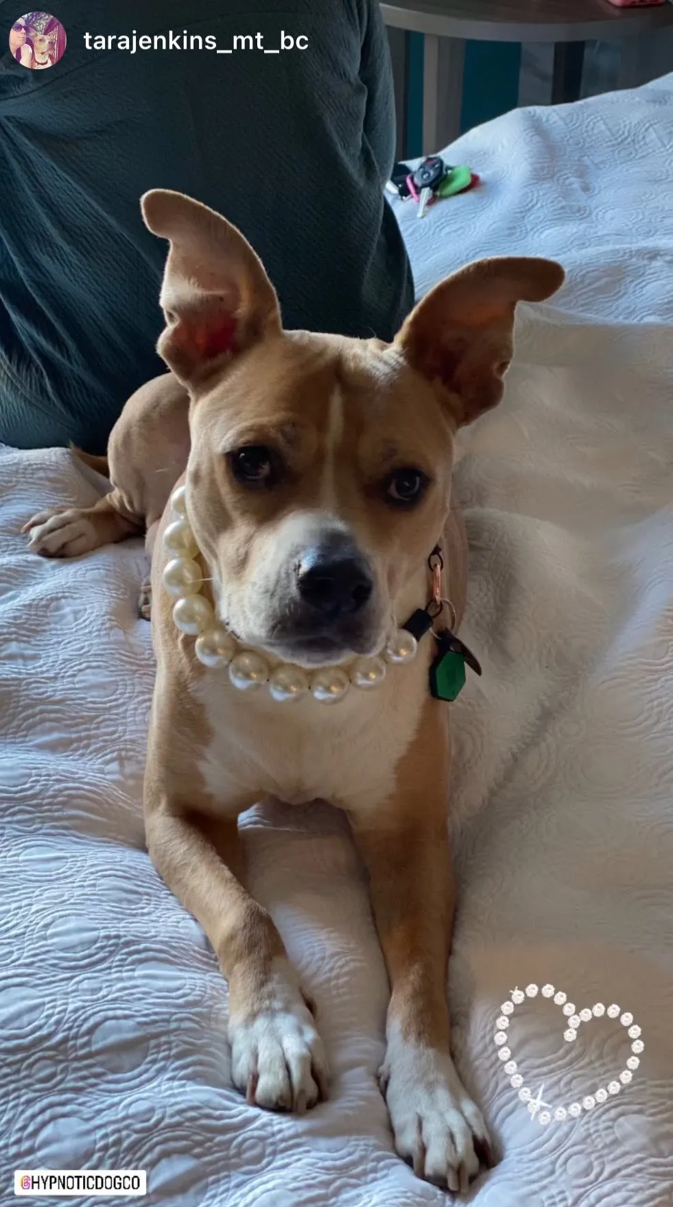 Chunky White Pearls Acrylic Bead Collar