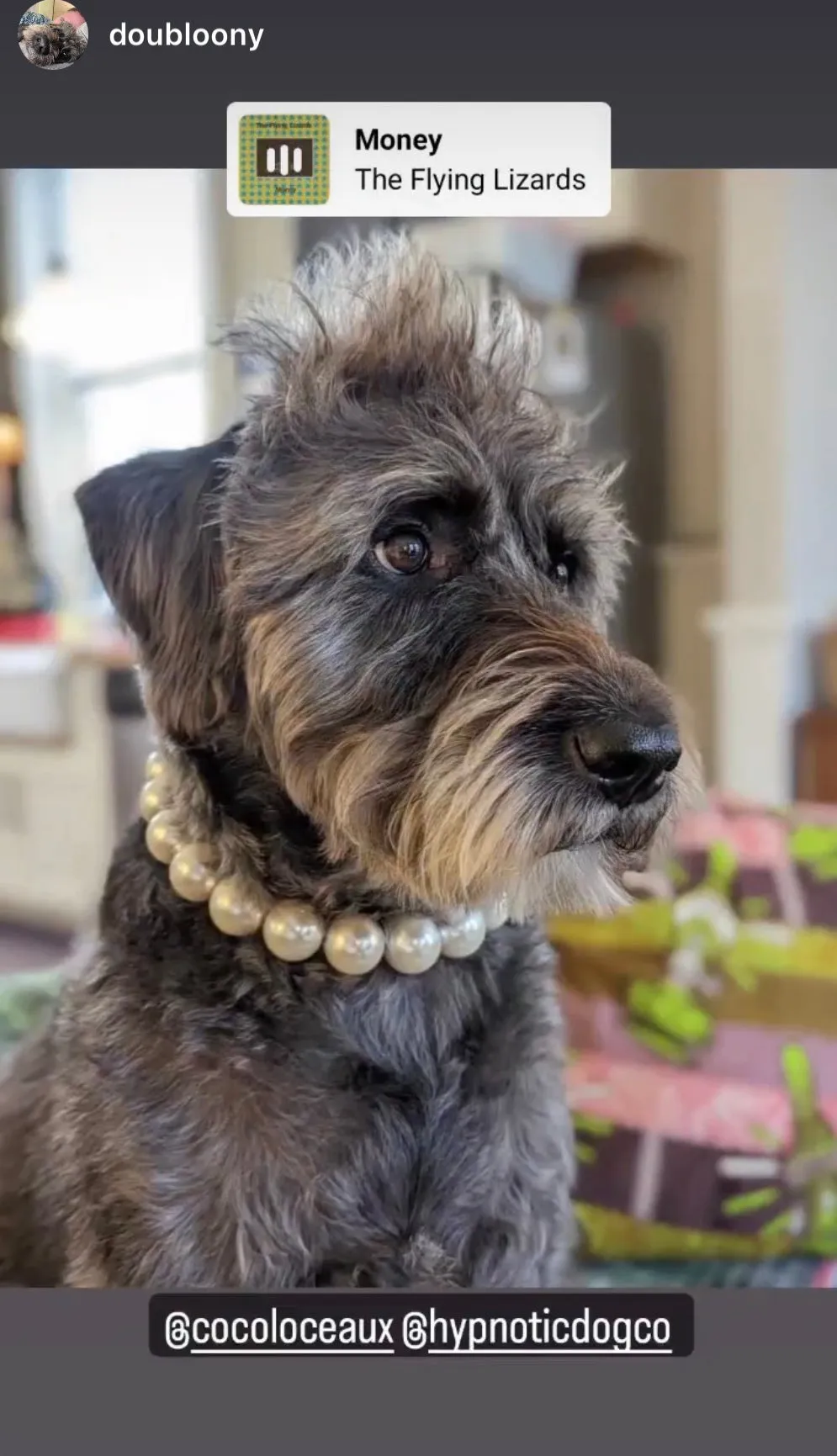 Chunky White Pearls Acrylic Bead Collar