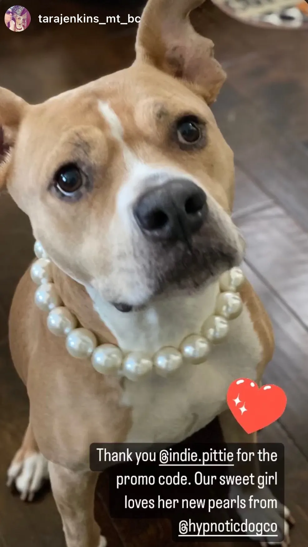 Chunky White Pearls Acrylic Bead Collar