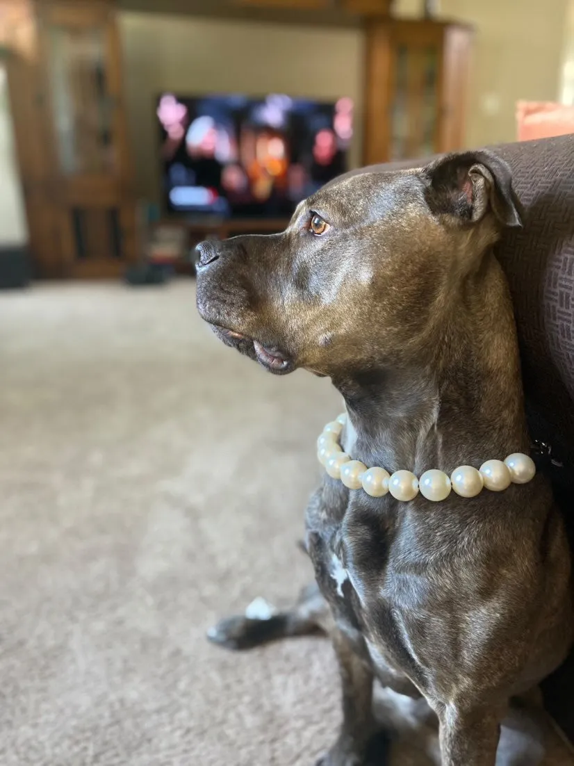Chunky White Pearls Acrylic Bead Collar
