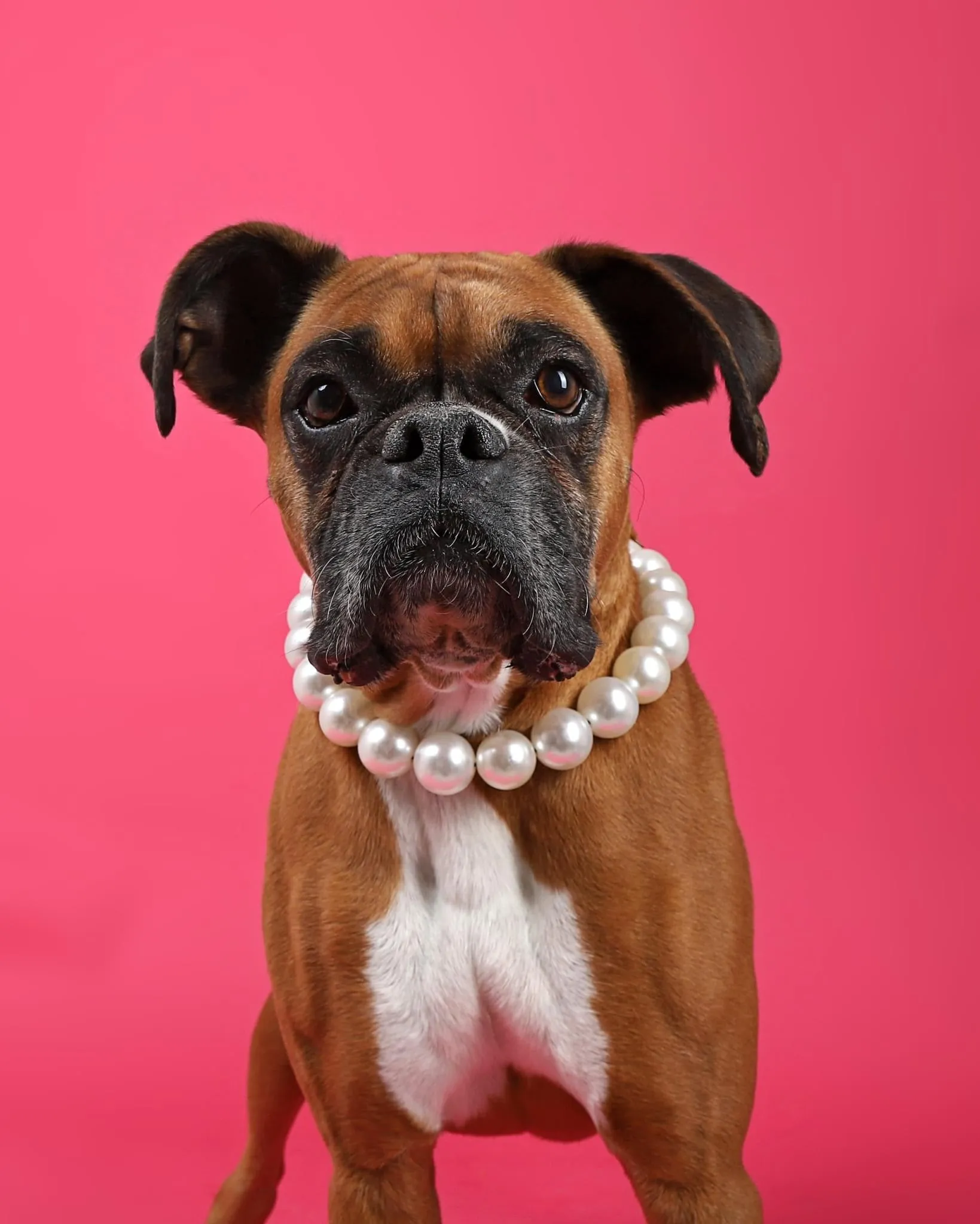 Chunky White Pearls Acrylic Bead Collar