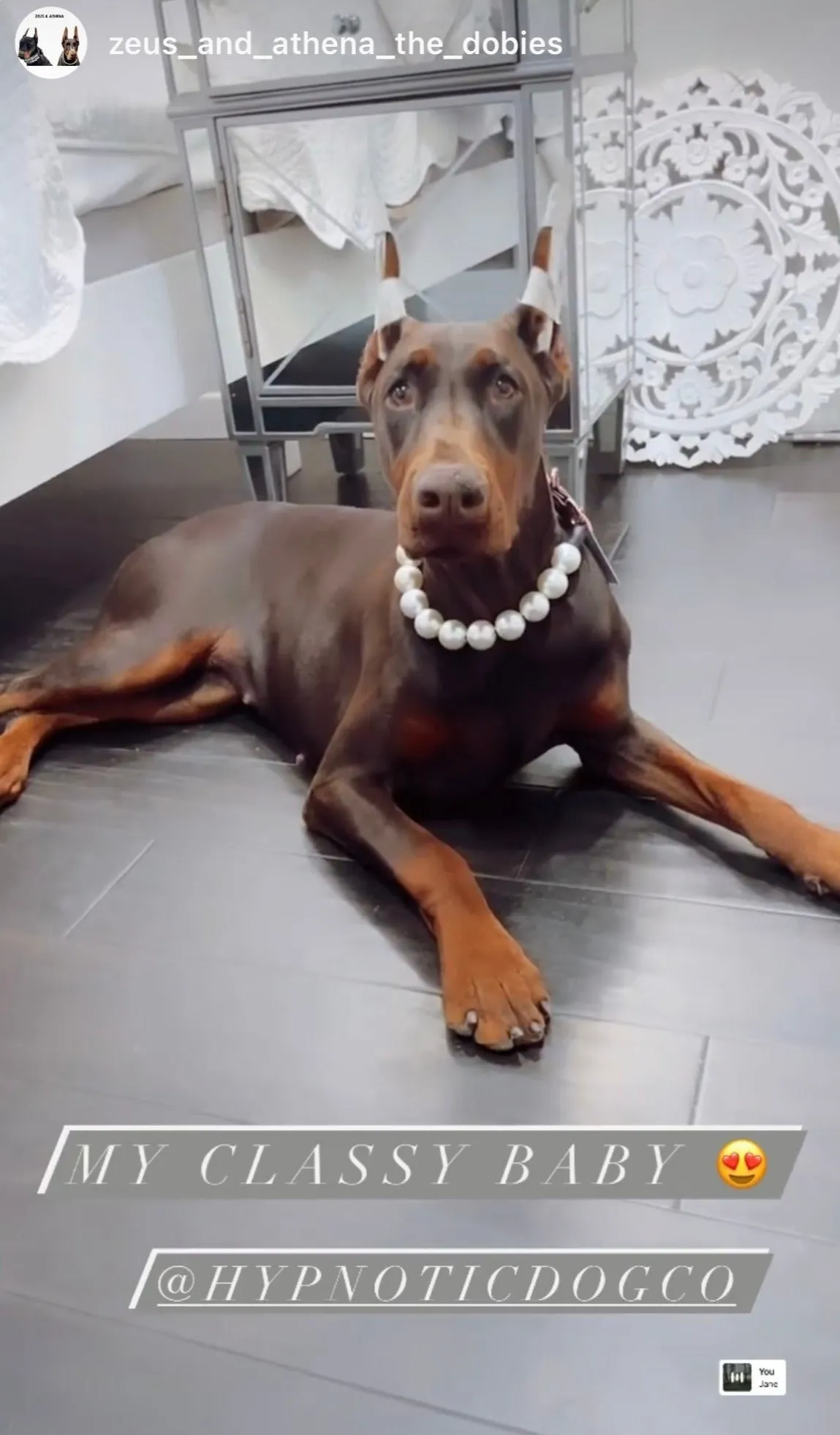Chunky White Pearls Acrylic Bead Collar