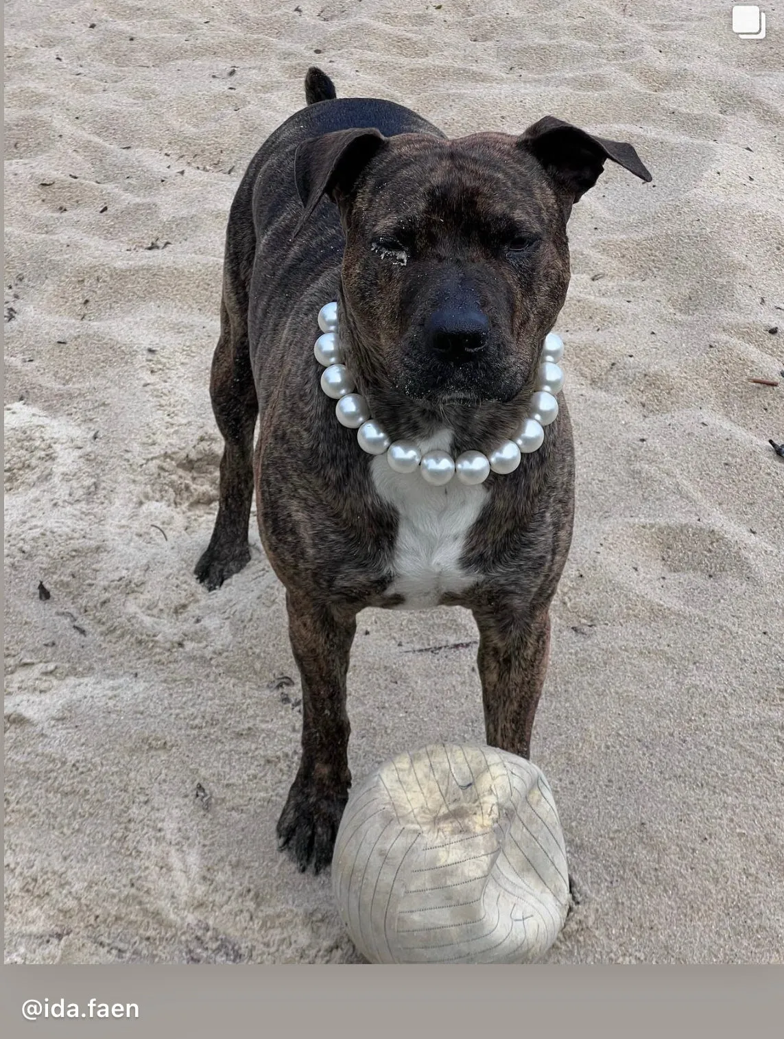 Chunky White Pearls Acrylic Bead Collar