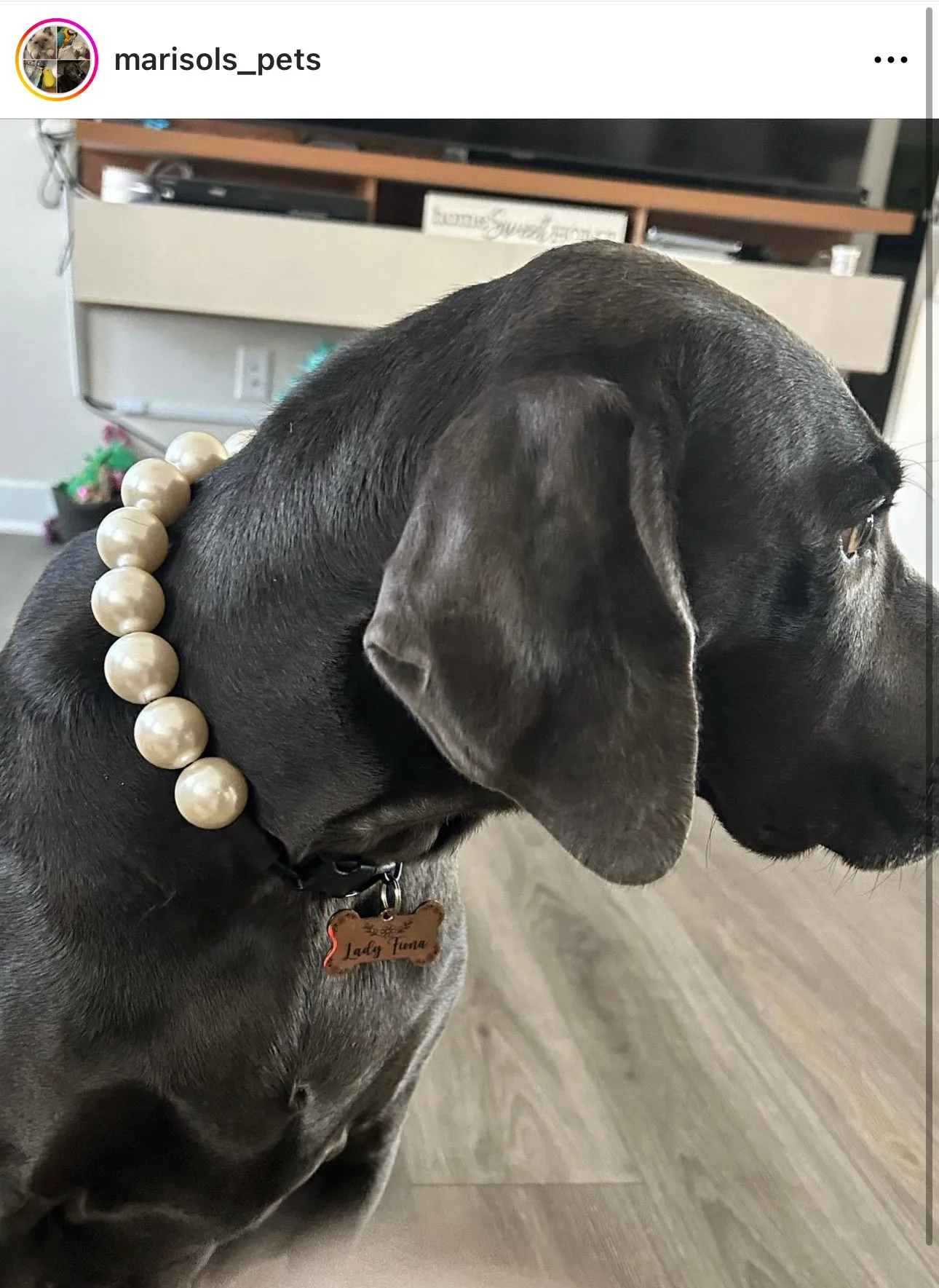 Chunky White Pearls Acrylic Bead Collar