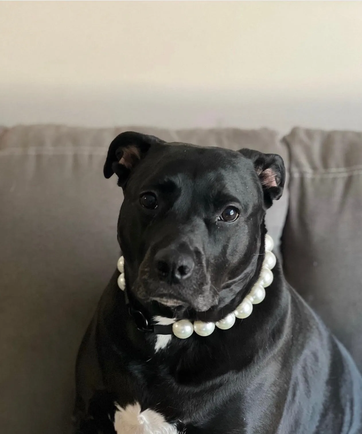 Chunky White Pearls Acrylic Bead Collar