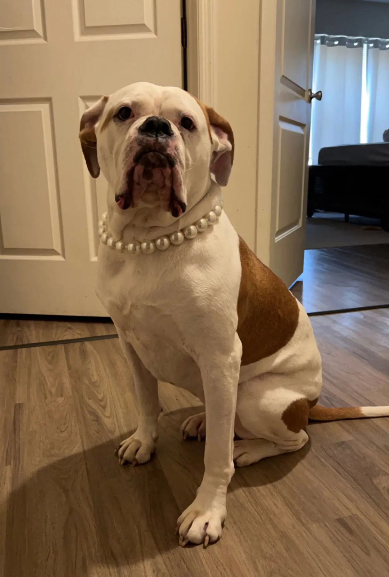 Chunky White Pearls Acrylic Bead Collar