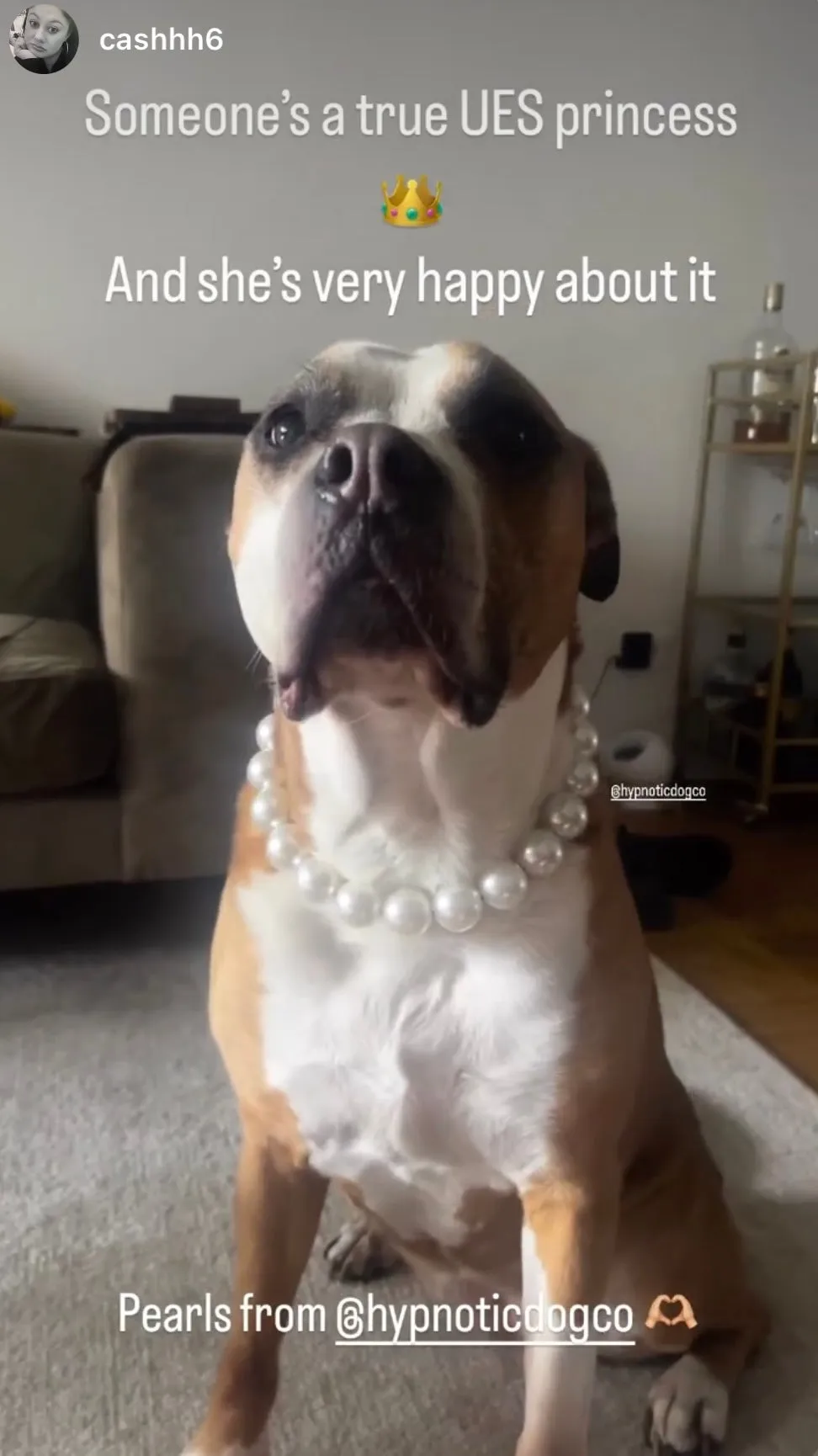 Chunky White Pearls Acrylic Bead Collar