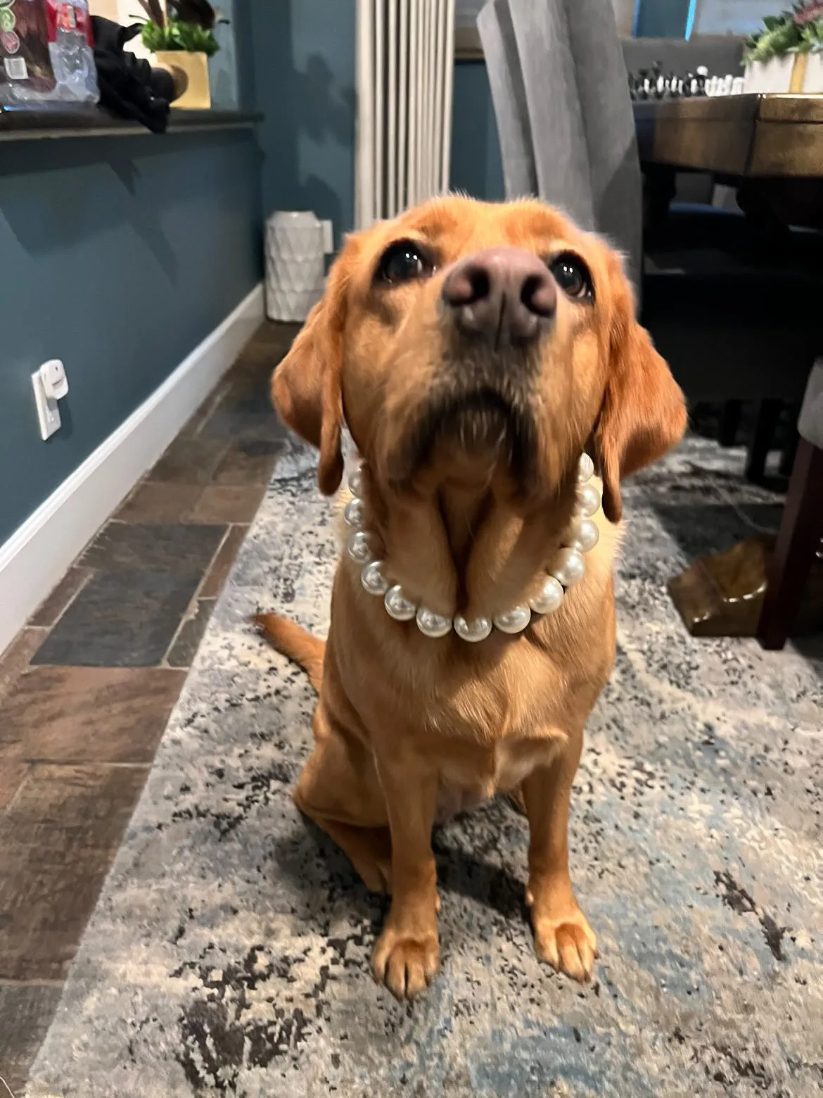 Chunky White Pearls Acrylic Bead Collar