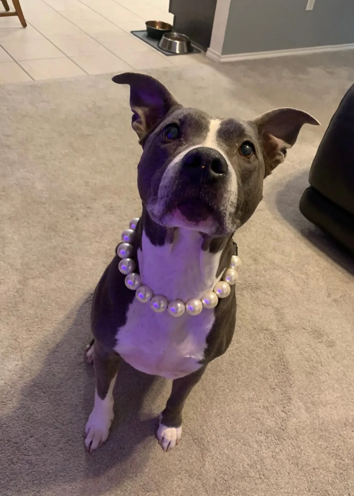 Chunky White Pearls Acrylic Bead Collar