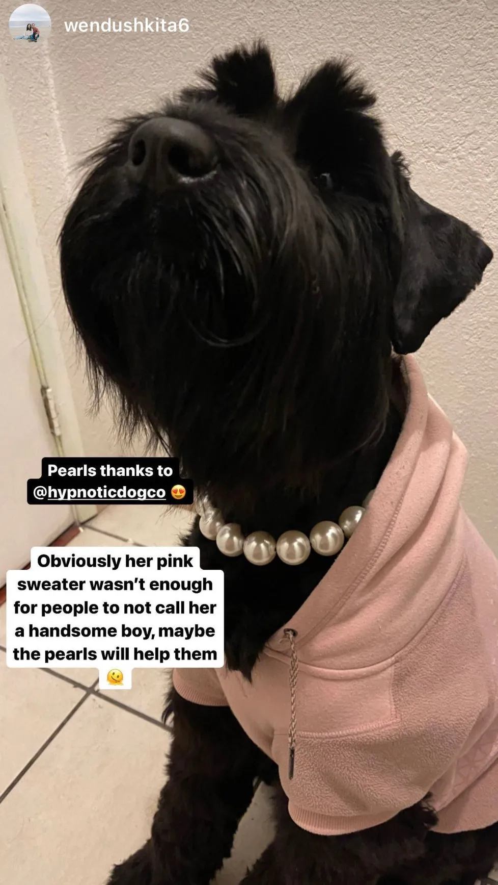 Chunky White Pearls Acrylic Bead Collar