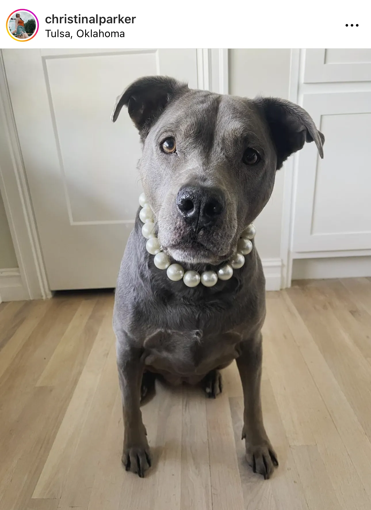 Chunky White Pearls Acrylic Bead Collar