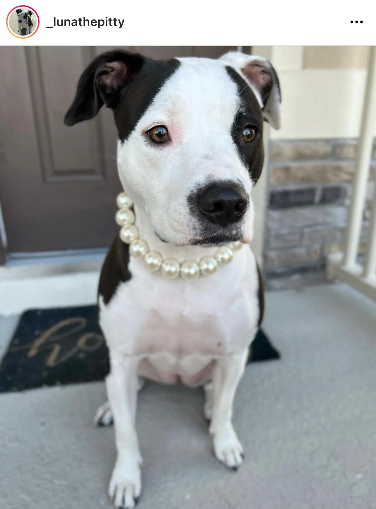 Chunky White Pearls Acrylic Bead Collar