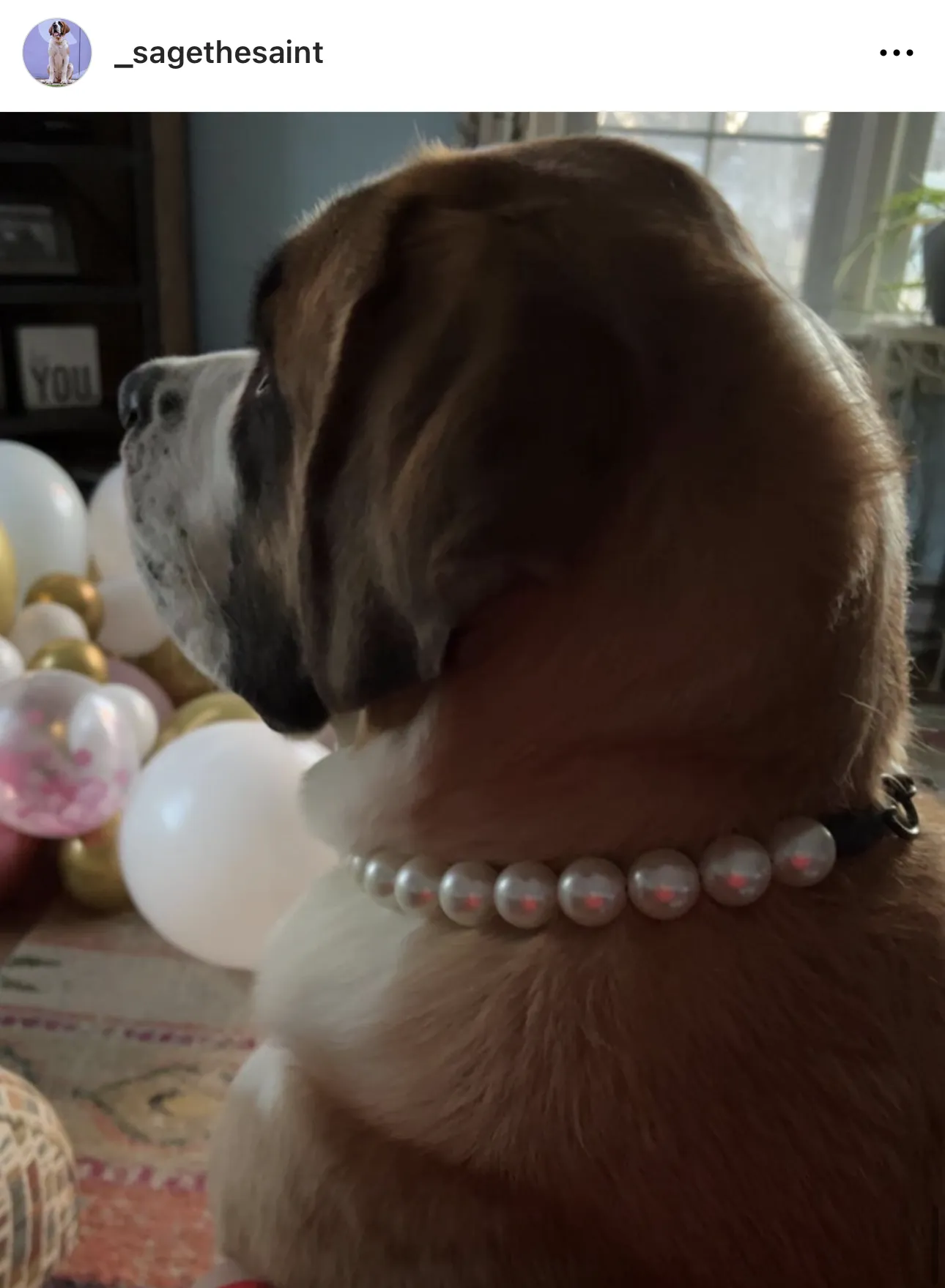Chunky White Pearls Acrylic Bead Collar