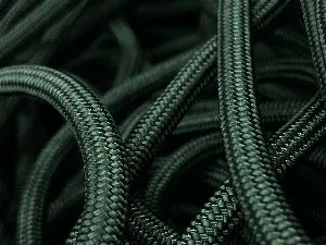 Dominant Dog Collar 2.0