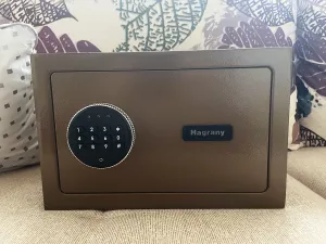 Hagrany Safes,Basics Steel Security Safe and Lock Box with Electronic Keypad