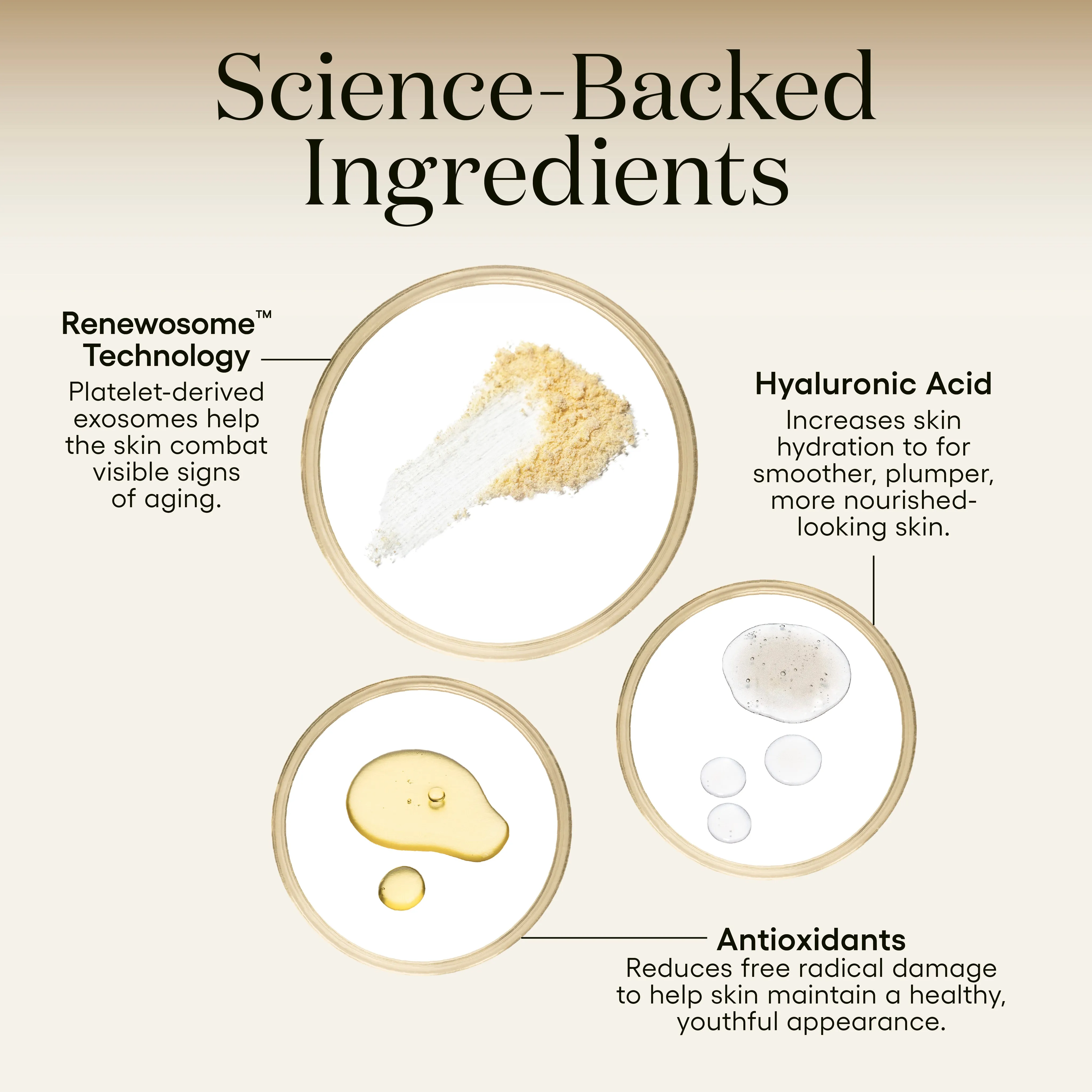INTENSE  Serum Refill