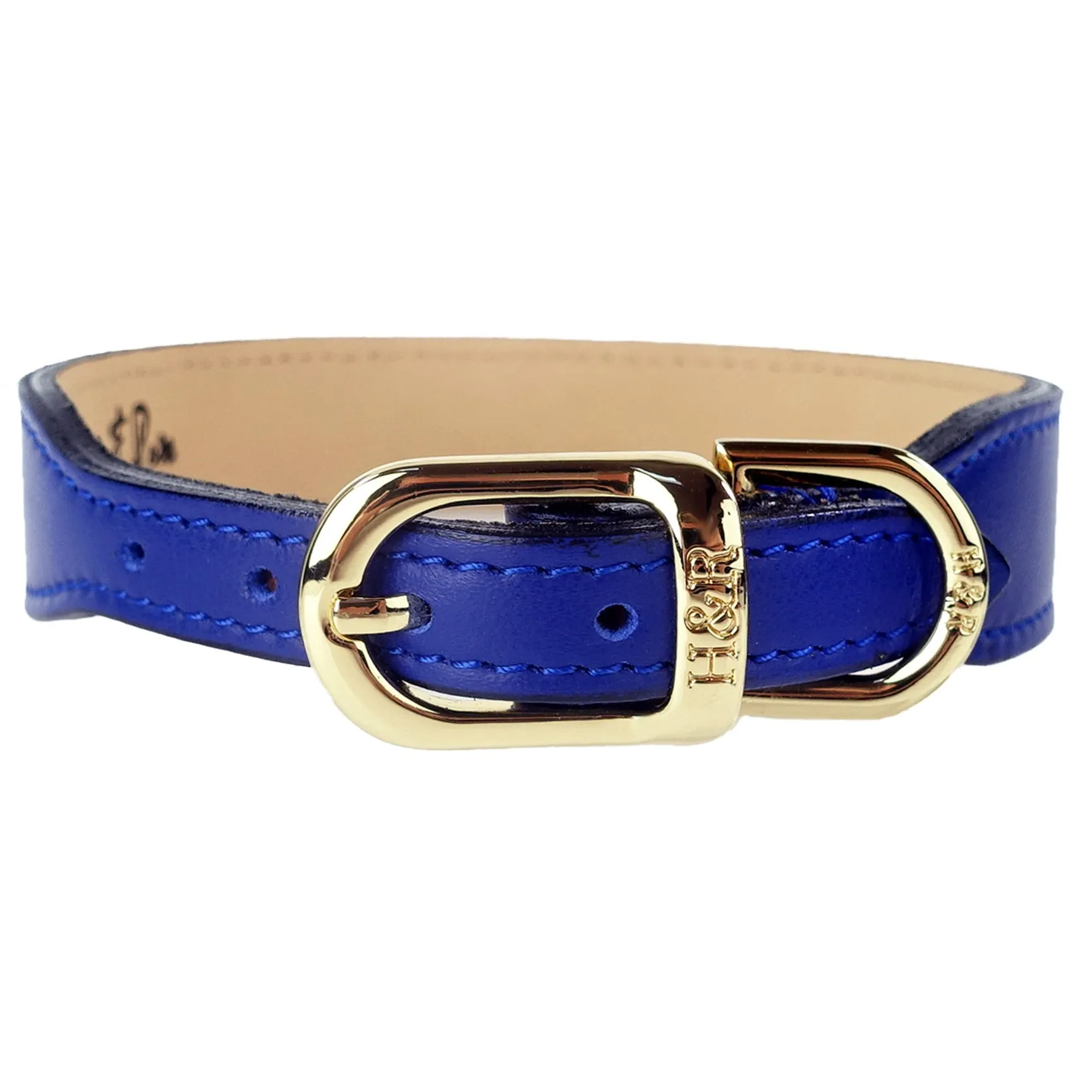 Italian Cobalt Blue Leather Dog Collar in Gold