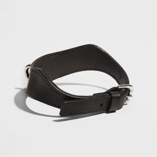 MEN'S D-SPIKE COLLAR