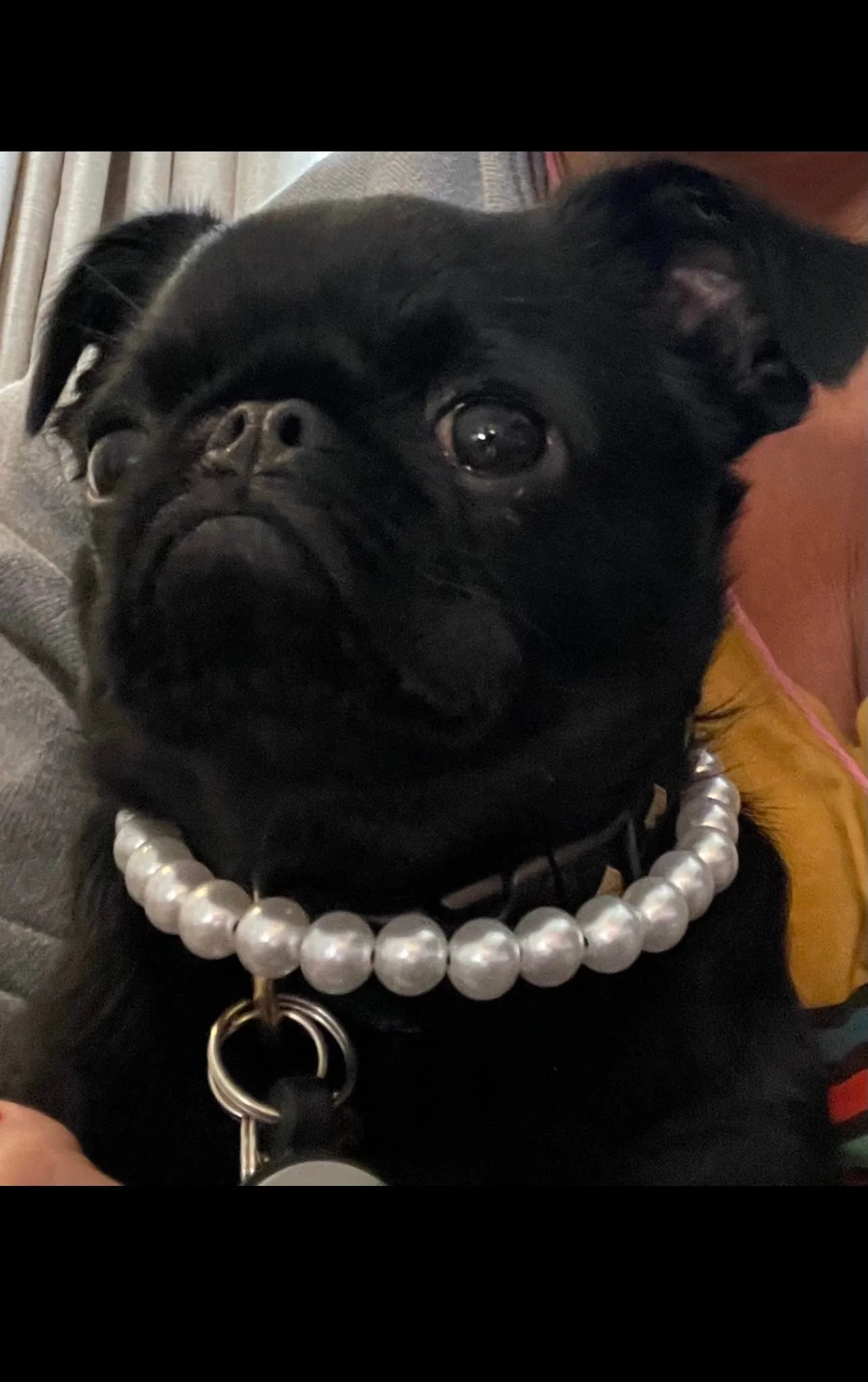 Mini White Pearl Single Strand Acrylic Bead Collar