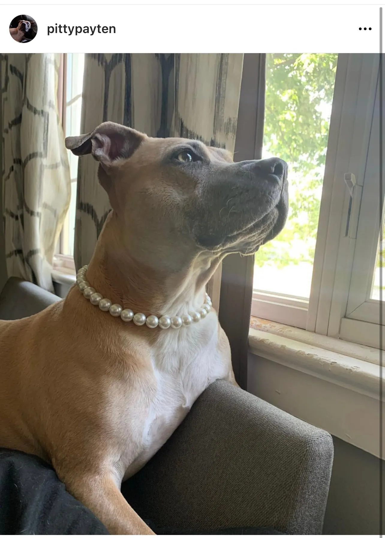 Mini White Pearl Single Strand Acrylic Bead Collar