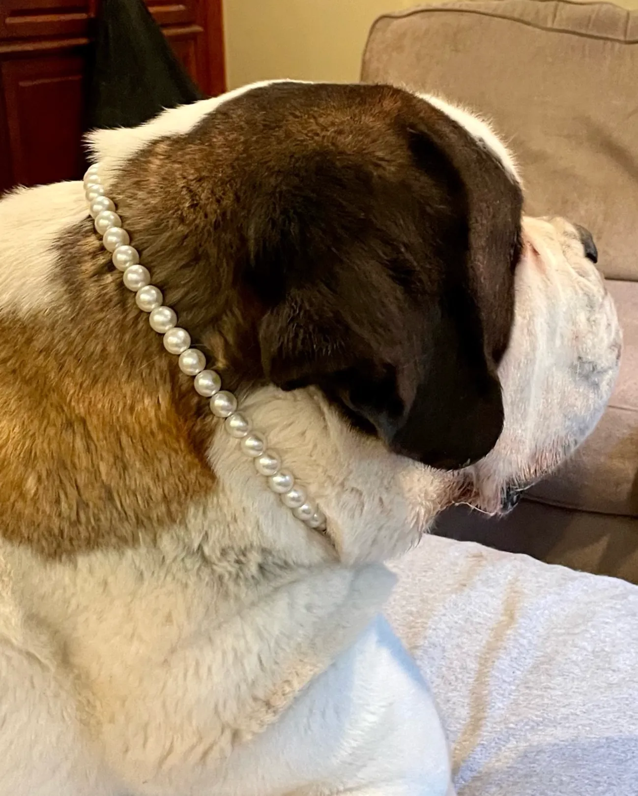 Mini White Pearl Single Strand Acrylic Bead Collar
